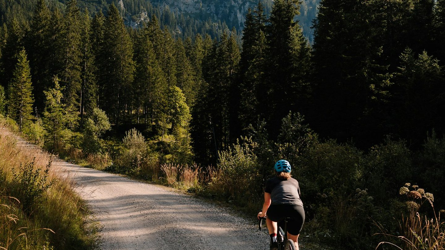 Ciclista en un camino de montaña entre bosques y picos nevados